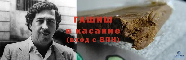 стаф Алексин