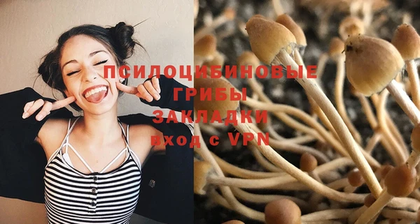 mix Алексеевка