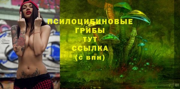 бутират Осташков
