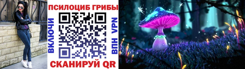 Галлюциногенные грибы Magic Shrooms купить наркотики сайты Лесосибирск